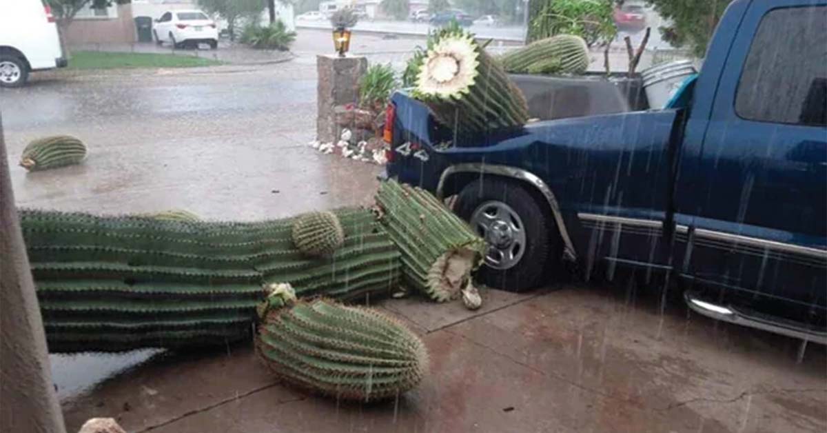 20 Unfortunate Souls Who Ran Out of Luck