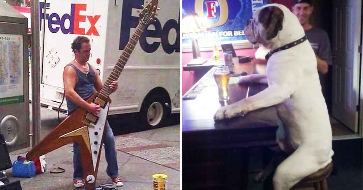 Photos of Our World's Beautiful Absurd Randomness