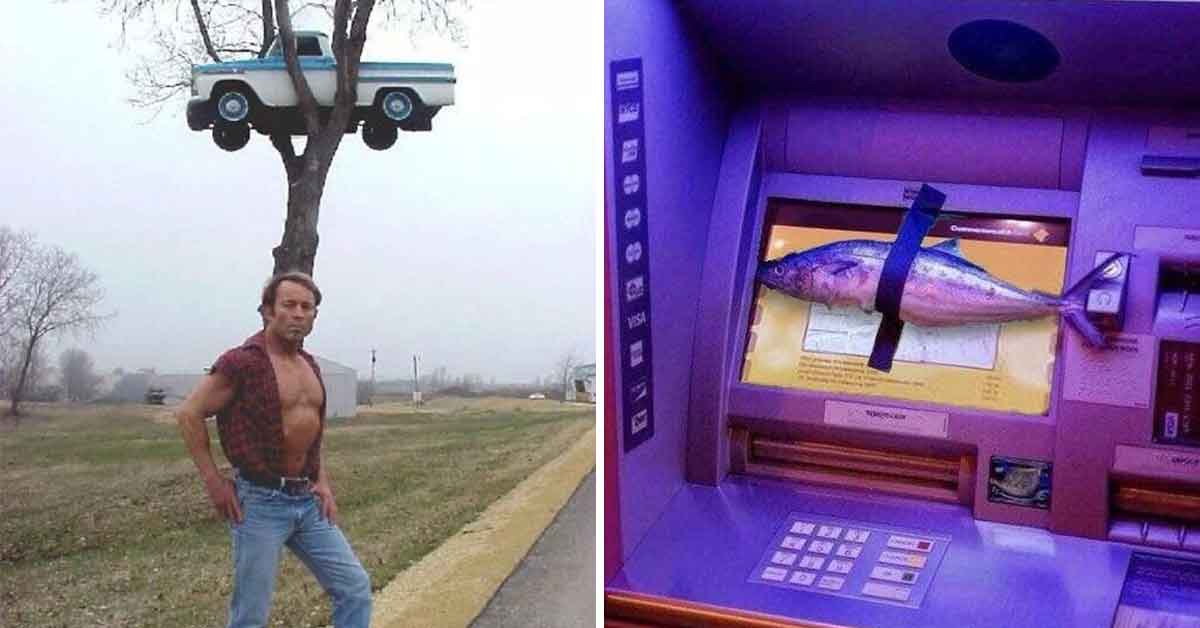 Photos Where It's Not Exactly Clear What's Going On