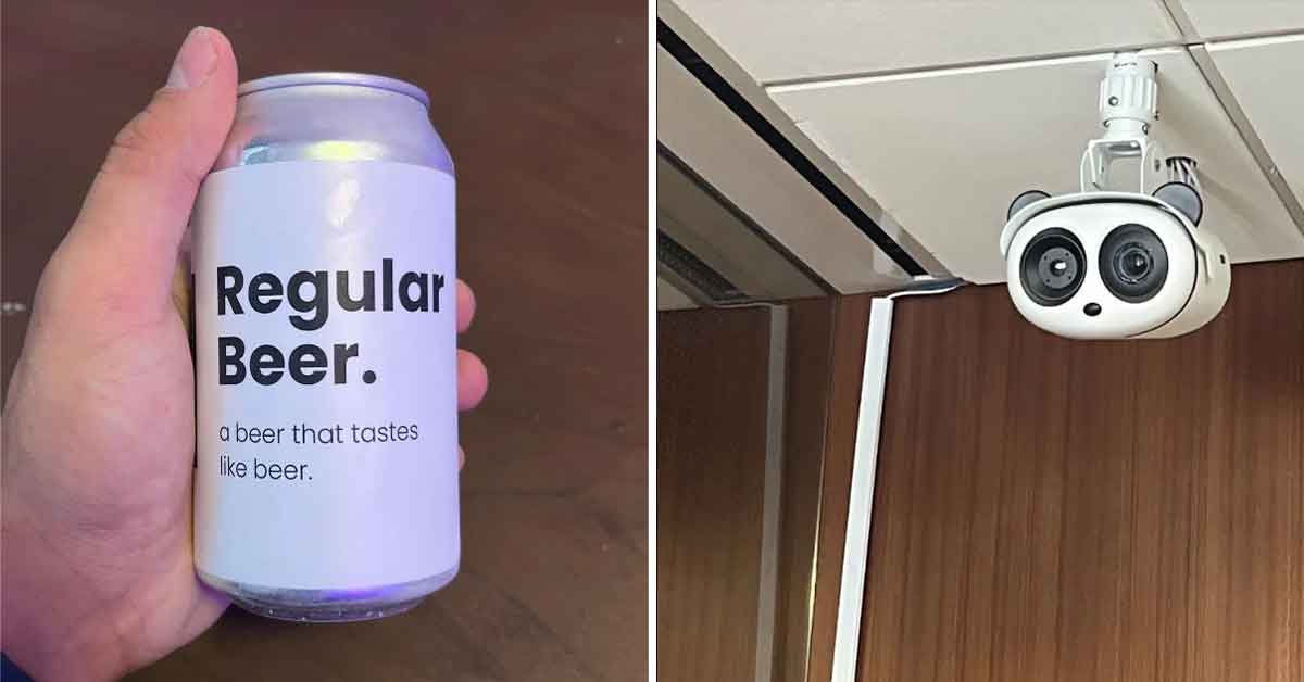 Interesting Images That Capture a Variety of Subjects