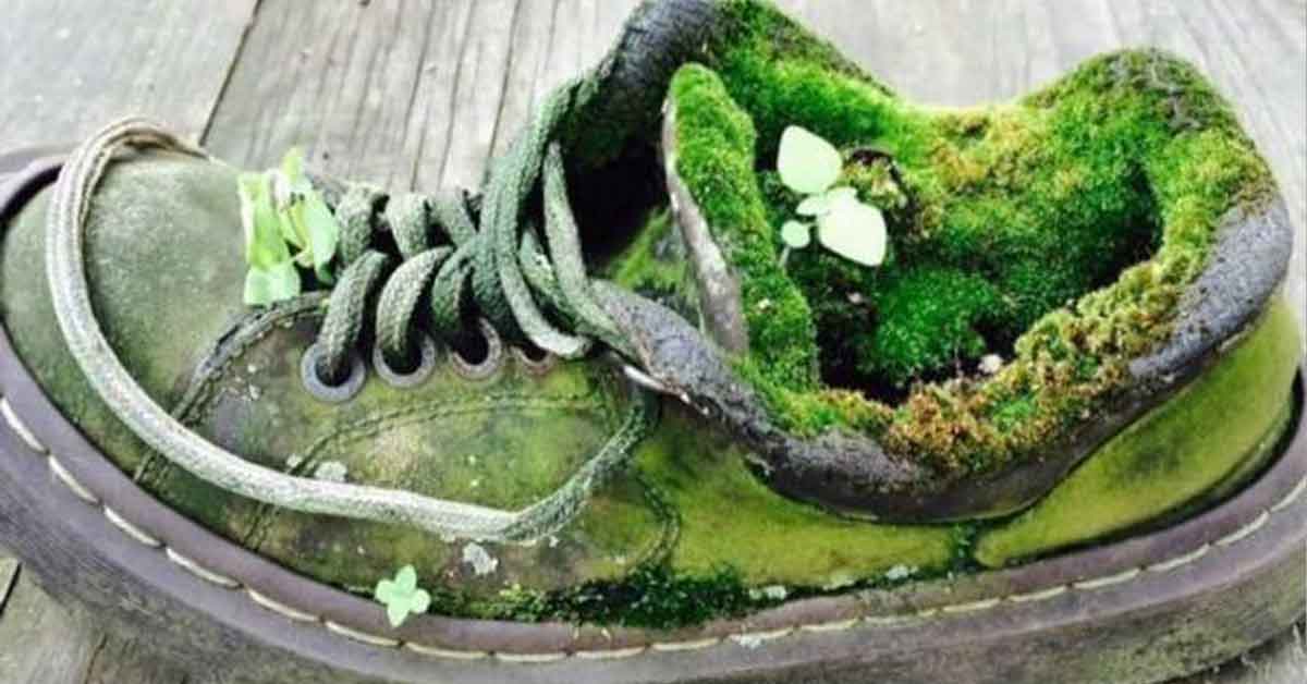 Noteworthy Photos People Took of Our Wild World