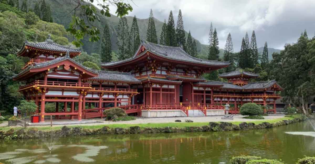 Poignant Photos to Help Shift Your World Perspective