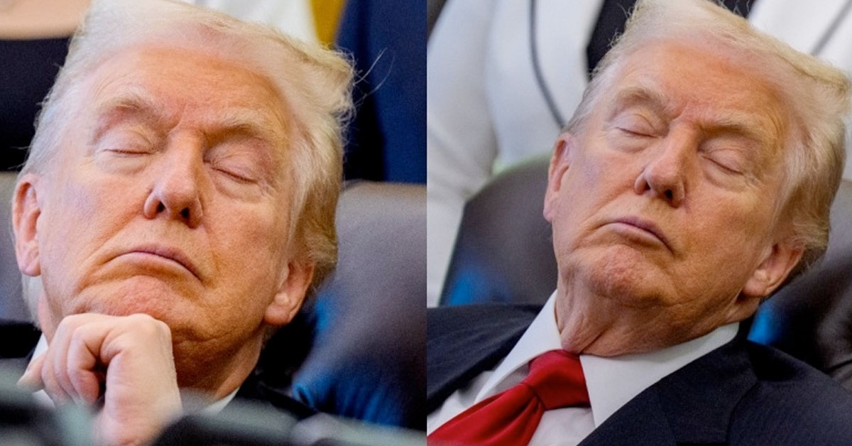Trump Reportedly Keeps Falling Asleep in the Oval Office, During Meetings