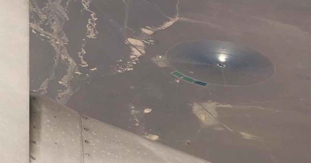 21 Times People Answered the Question, 'What is This?'