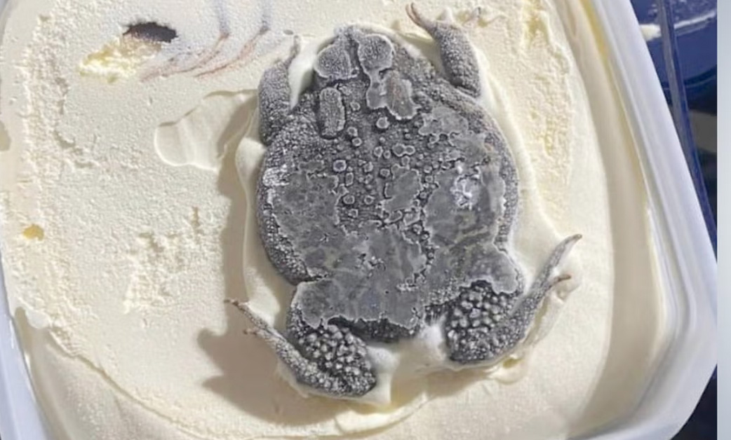 Bill to End Shutdown Also Gets Rid of a Bunch of Food Safety Rules for Some Reason