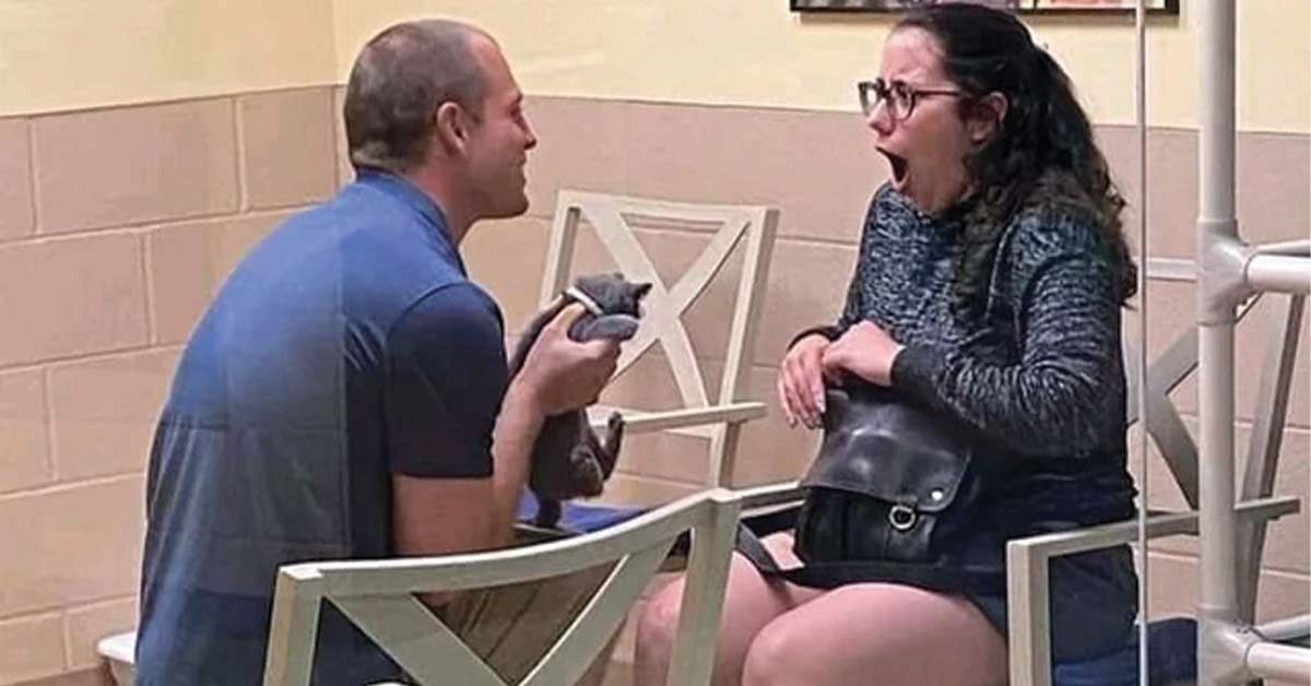 18 Photos Where We Don't Need Context to Understand