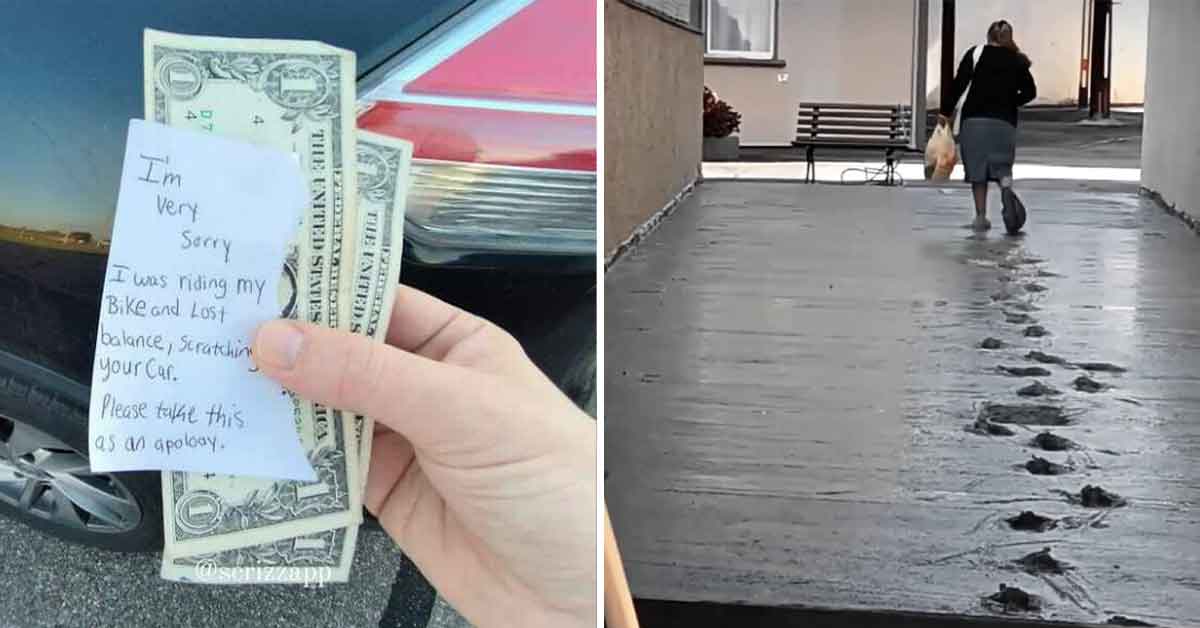 Photos Where Someone Immediately Regrets What They Did