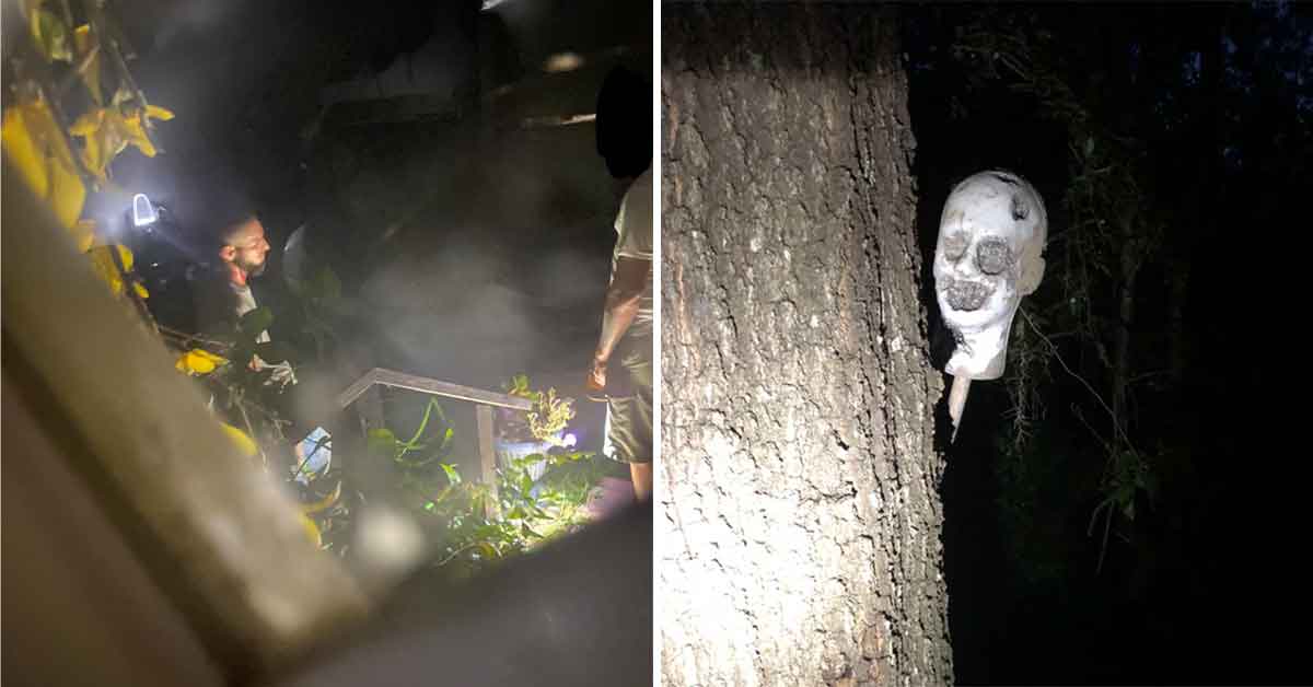 Creepy Photos Taken from Deep in the Woods