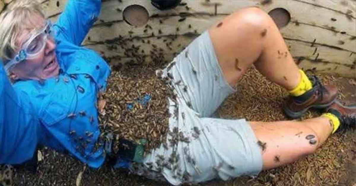 People Who Forgot to Take Their Common Sense to Work