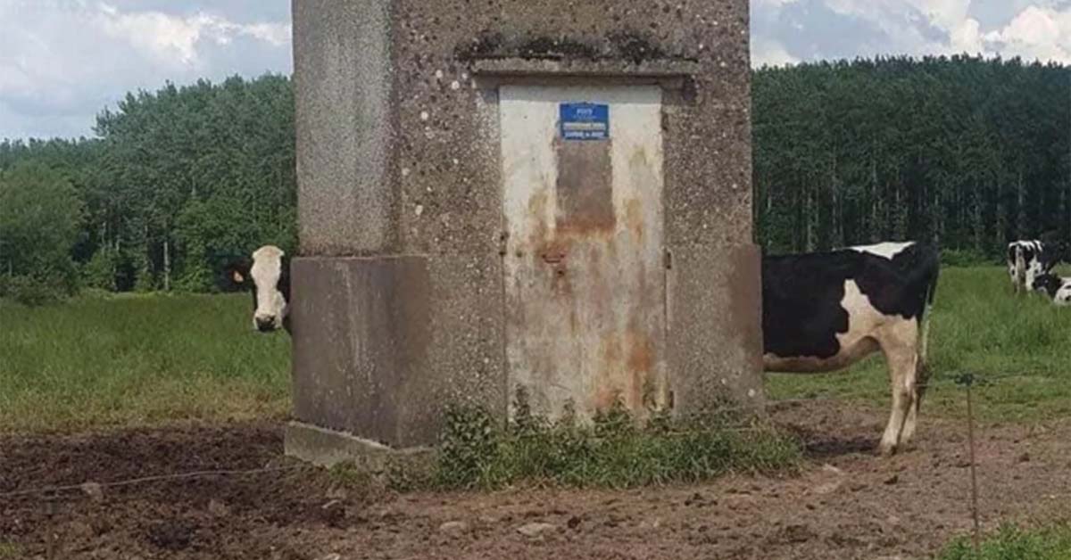 Photos That’ll Make You Want to Schedule An Eye Exam