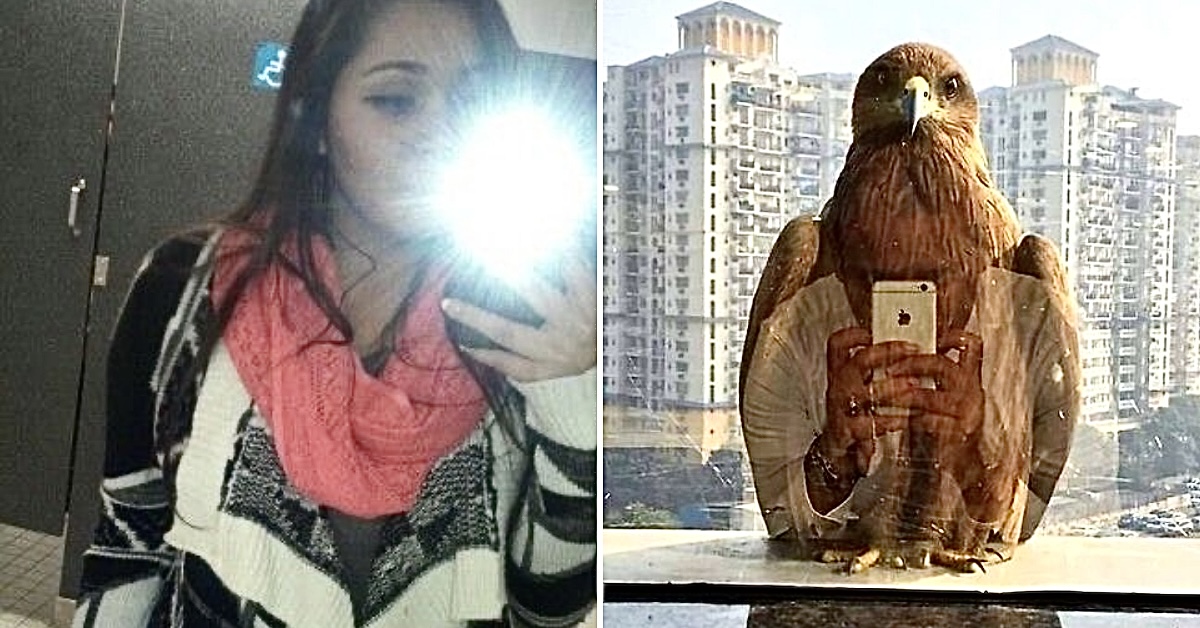 Photos Looking Totally Normal Until You Zoom In