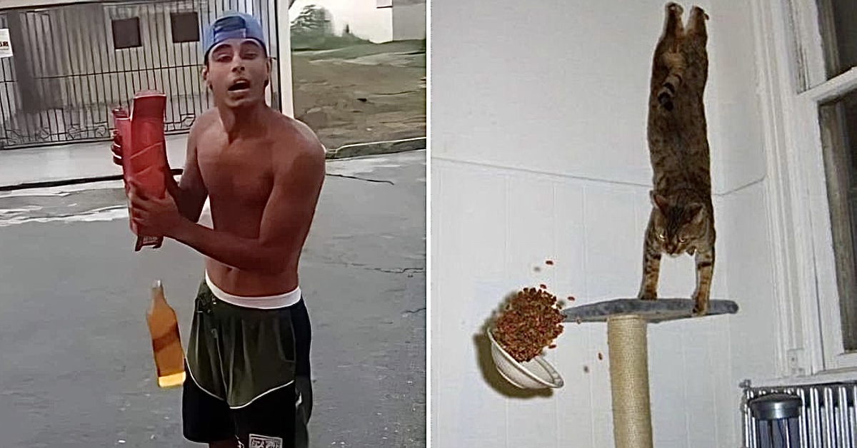 One-in-a-Million Shots That Could Never Happen Again