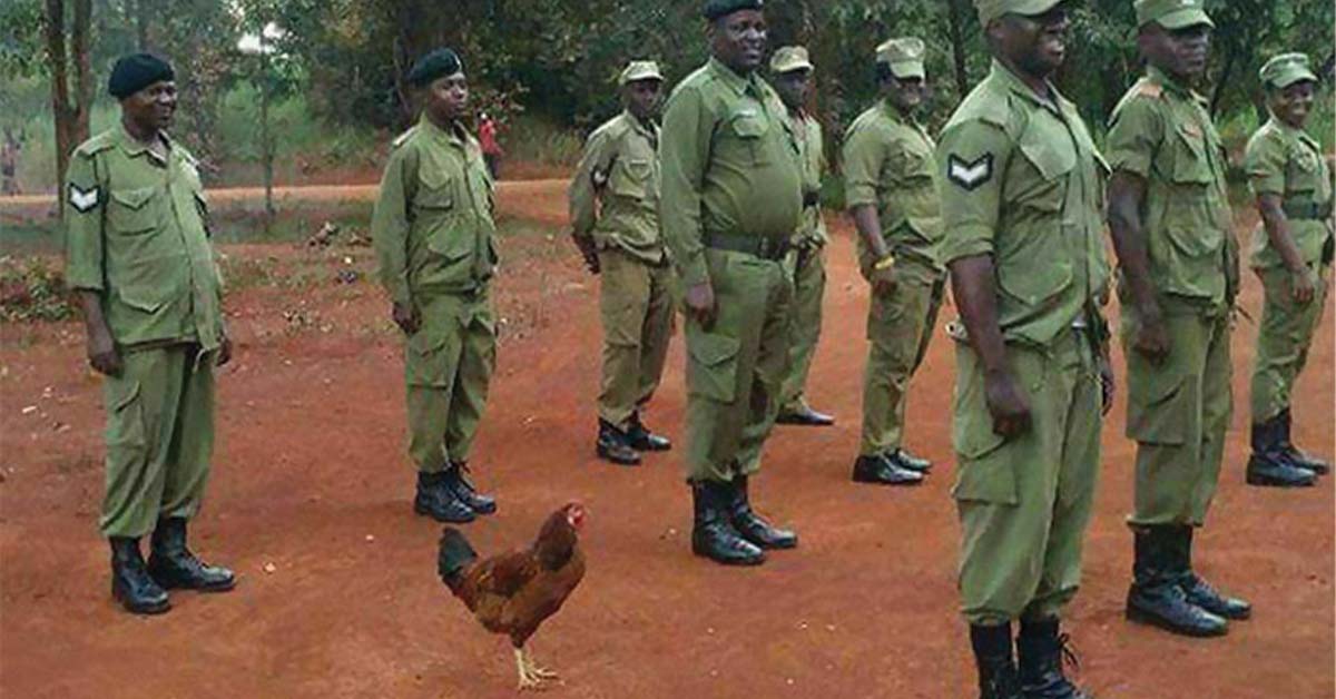 20 People Who Appear to Have Lied on Their Resumes