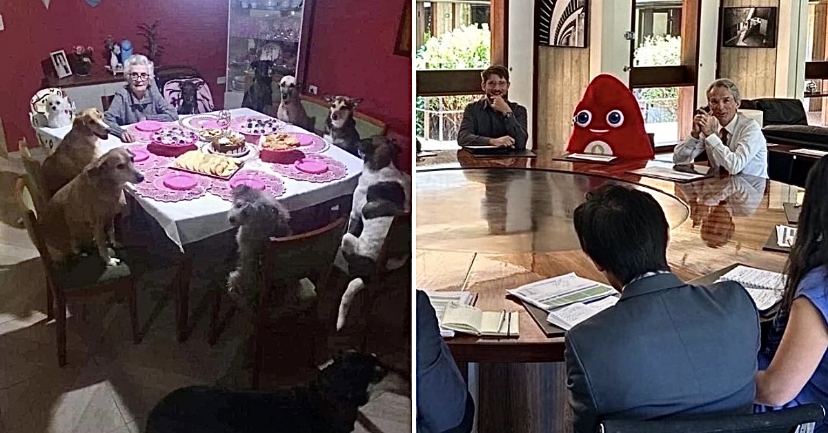 18 Photos Where We're at a Loss for What's Going On