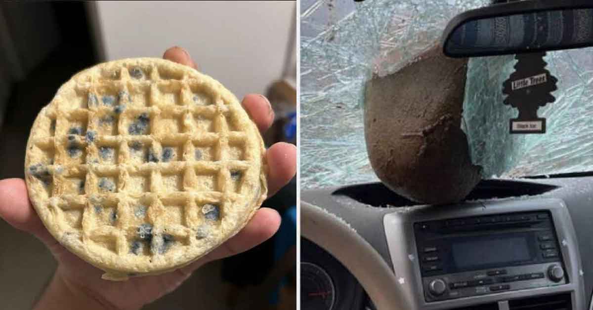 34 Unlucky Souls Cursed With Very Bad Days