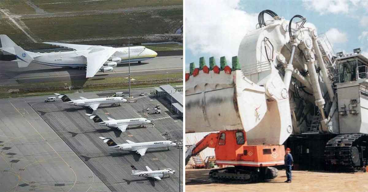 20 Normal Things Much Bigger, or Smaller Than Expected