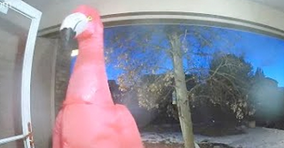 Home Security Cameras Keep Getting Hacked and Used for Blackmail