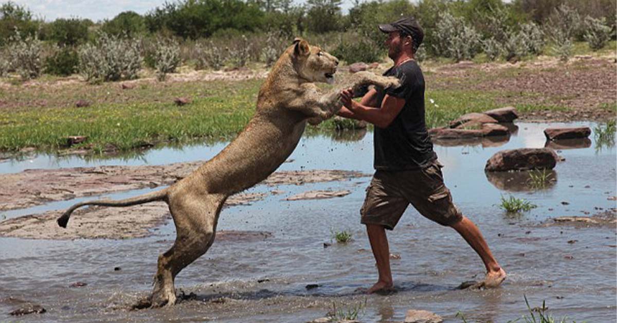 15 Animals Americans Swear They Could Beat In A Fight