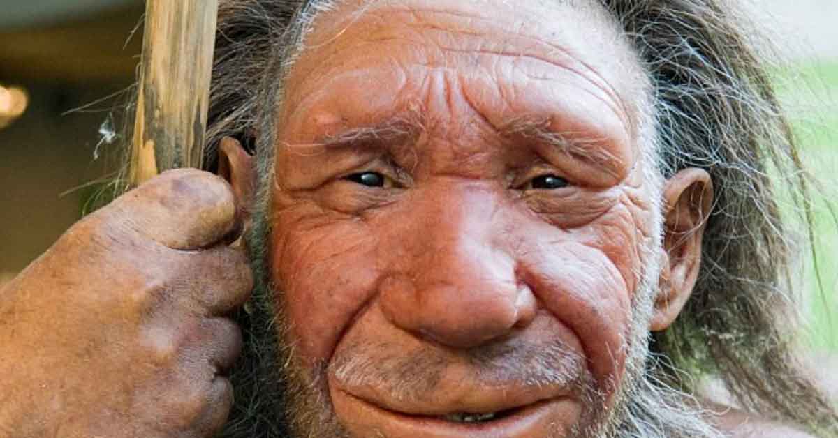 21 Facts Challenging All You Knew About Neanderthals