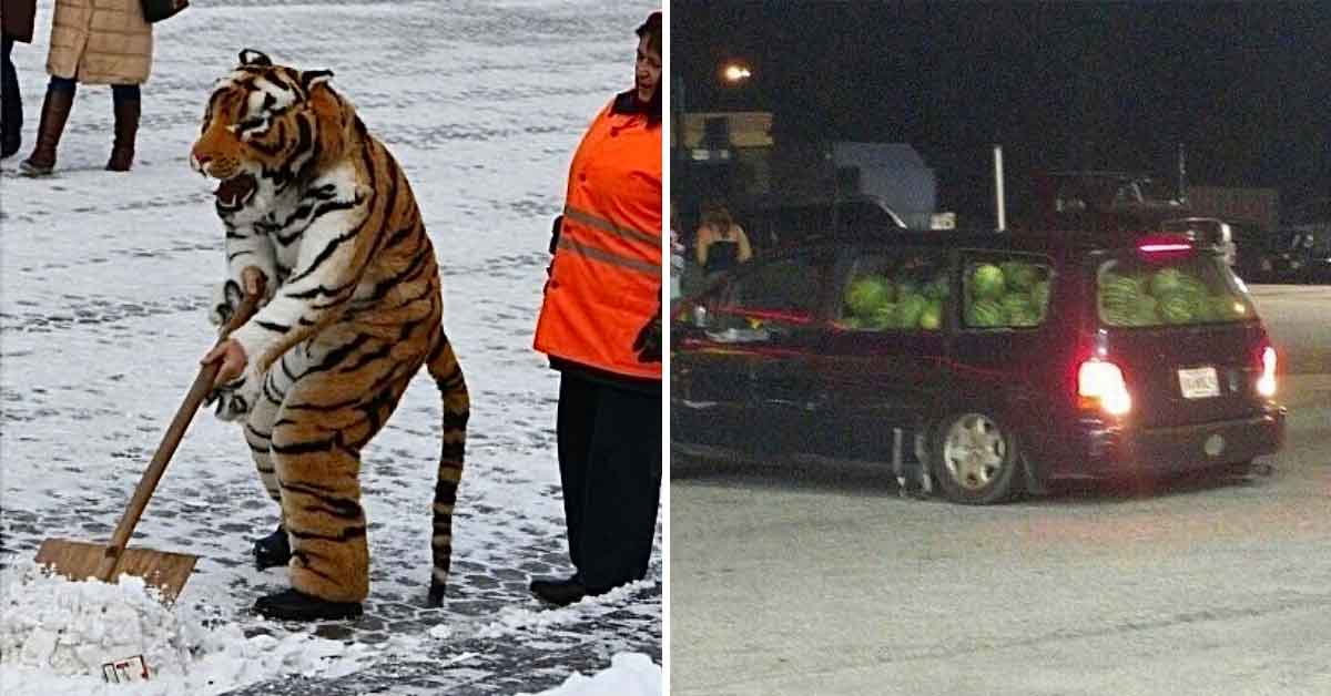 30 Photos Where We Don’t Know What’s Going On