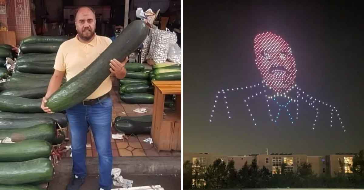 Odd & Wild Pics Where We're Not Sure What's Going On