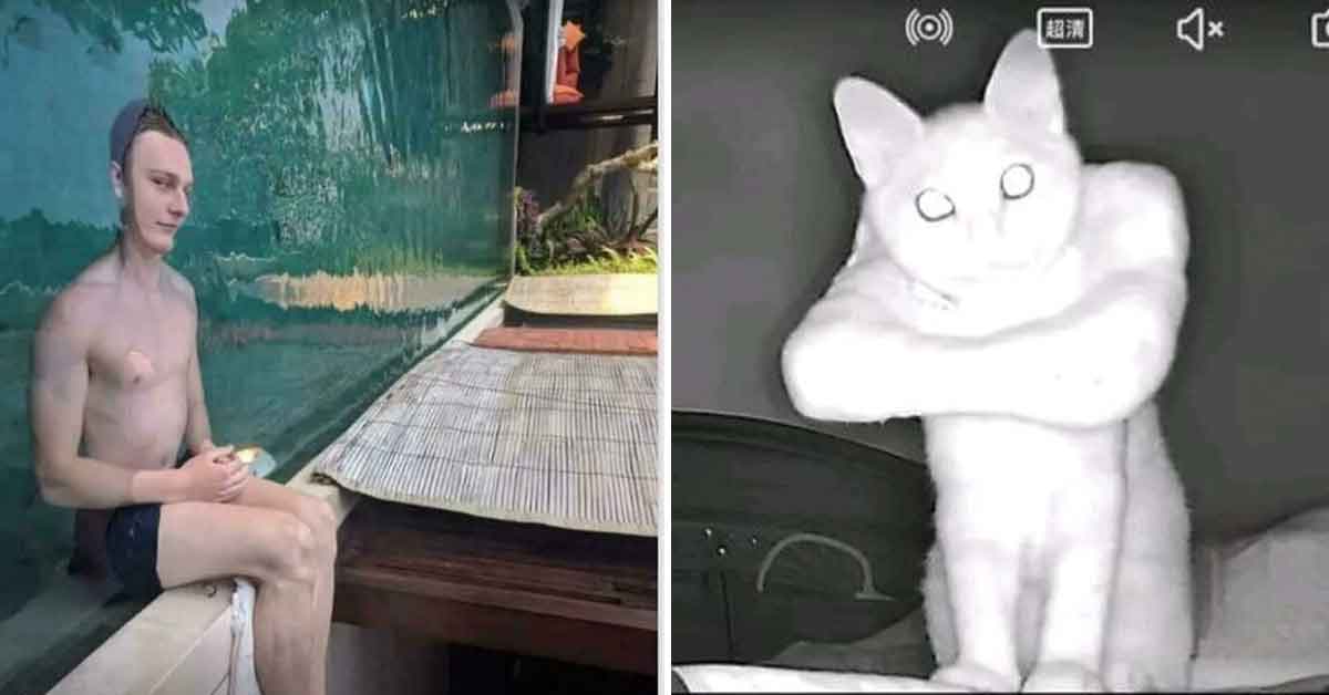 19 Photos You Might Have to See Twice to Understand