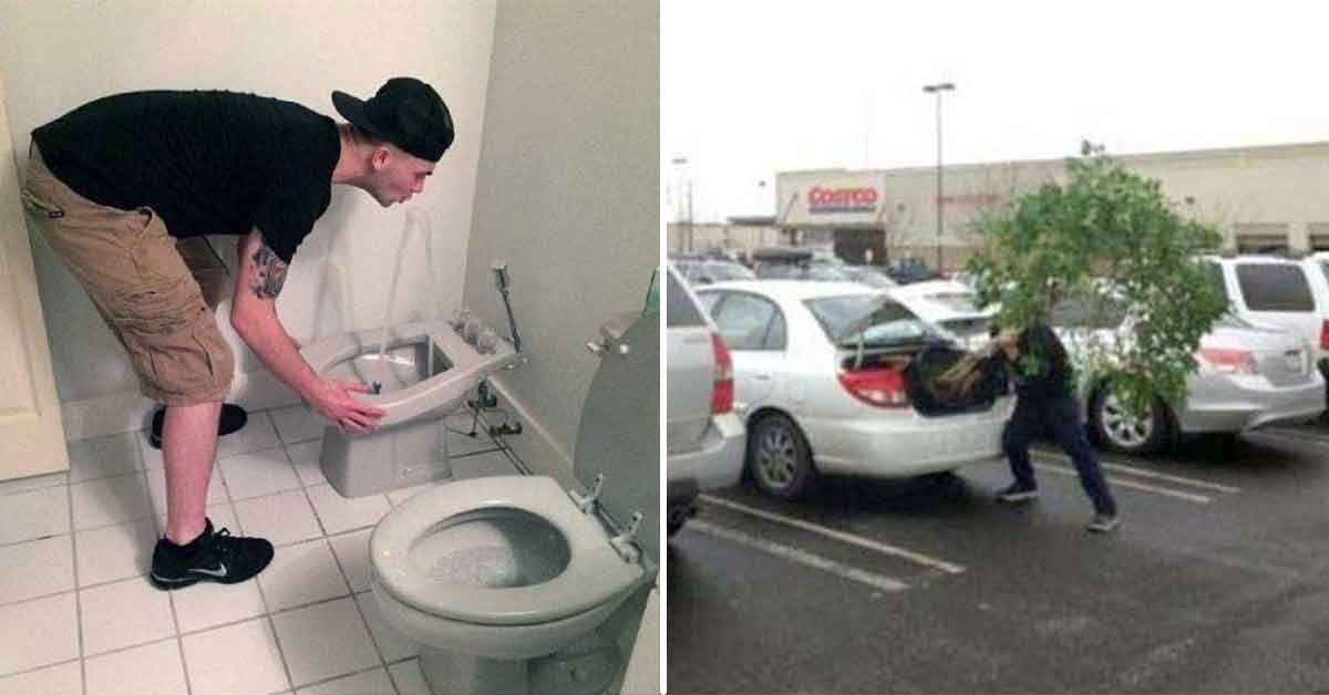 15 Photos Casting Doubt On Humanity's Common Sense