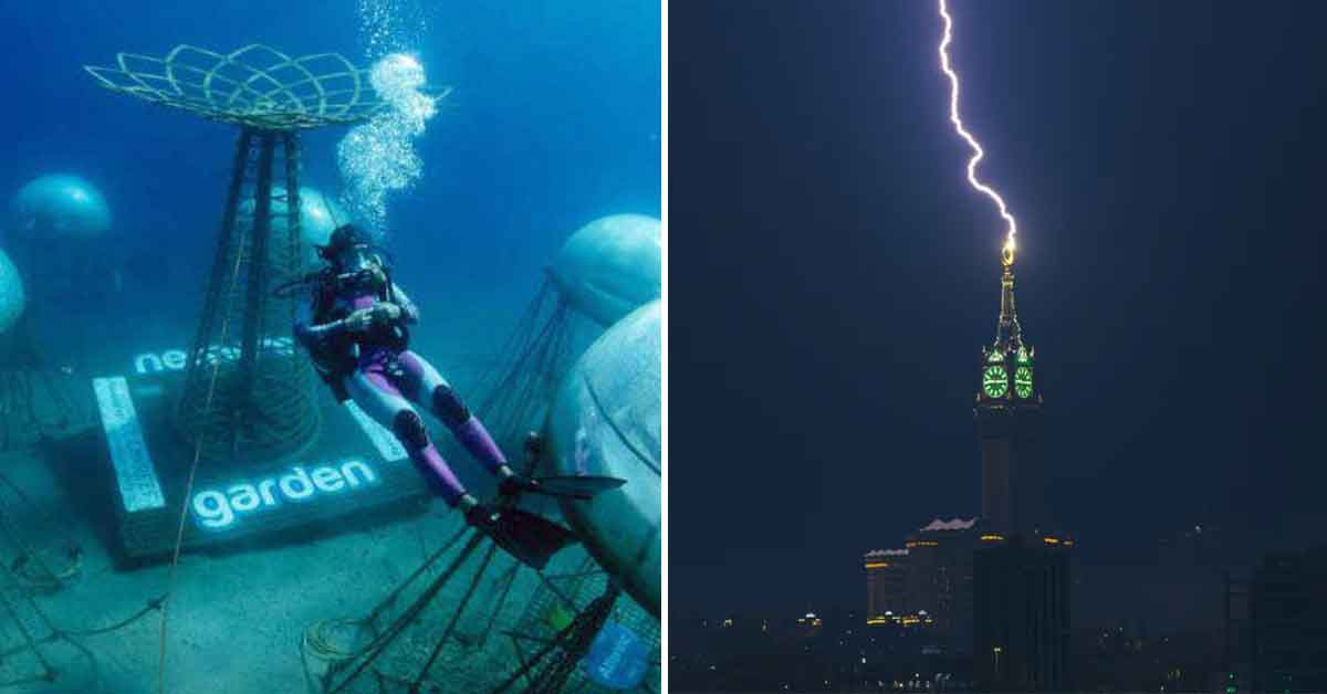 21 One-of-a-Kind Images to Liven Up Your Feed