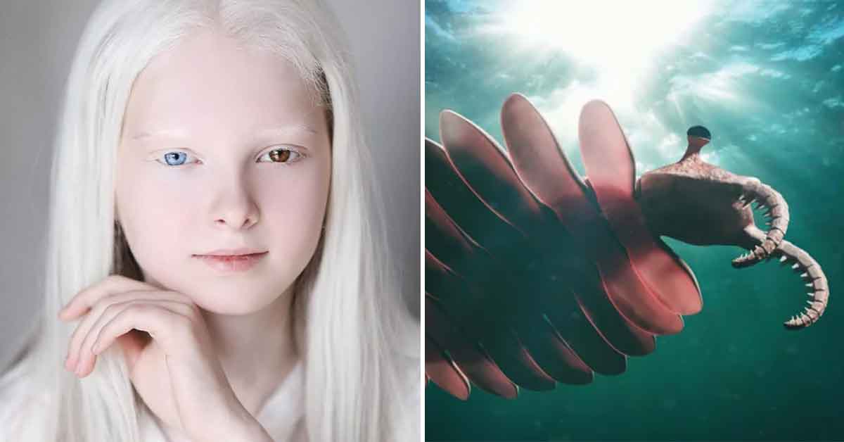 21 Fascinating and Informative Photos to Waste the Day