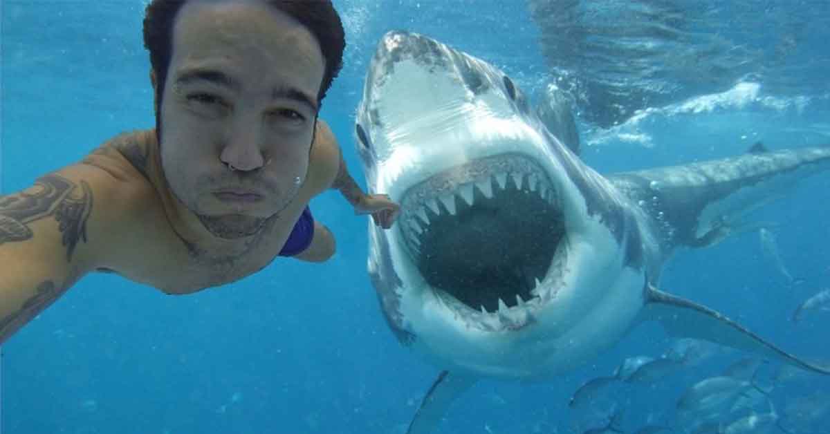 22 Selfies Taken from the "Before Disaster" Hall of Fame