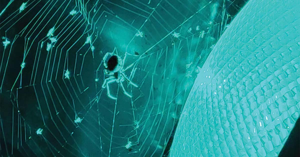 20 Gripping Photos from Around the Globe