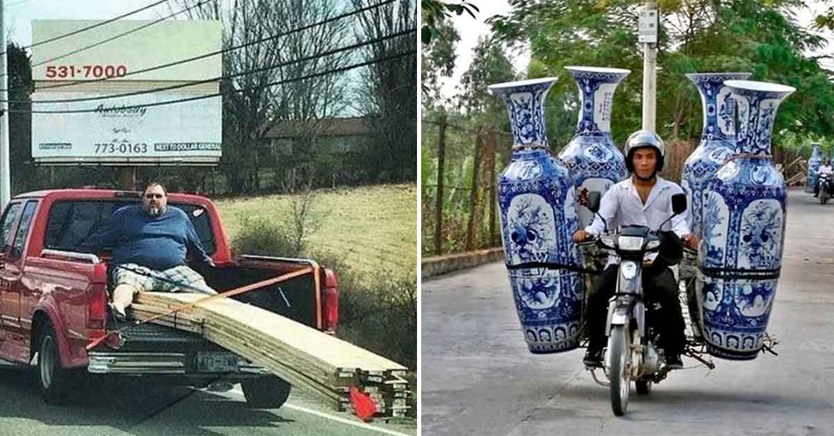 15 Photos Where Common Sense Took a Gardening Leave