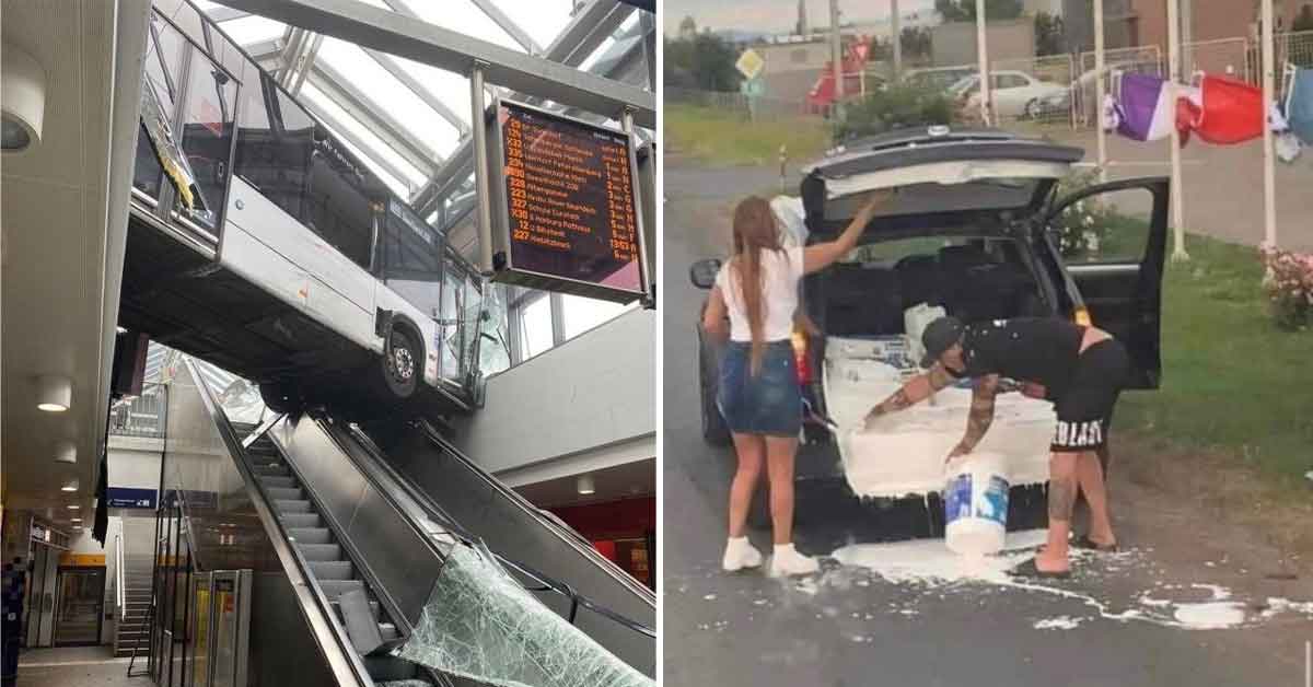 Comedy or Tragedy? When Disaster Had a Sense of Humor