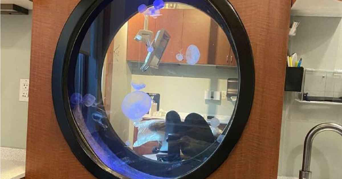 36 Things People Saw, from Cool to Questionable