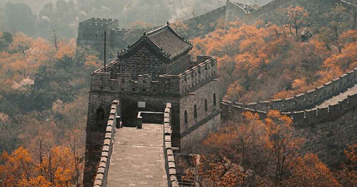 Useful Facts That Never Made it Into School Textbooks