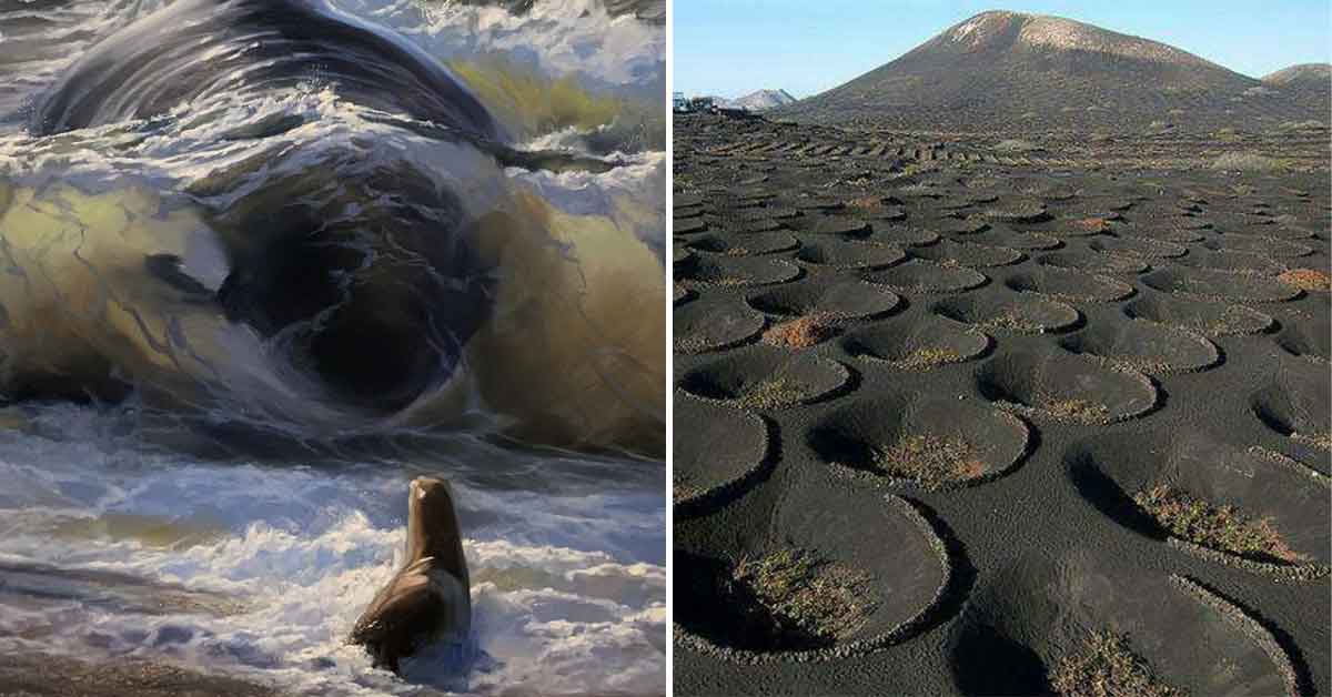 34 Poignant One-of-a-Kind Pics from Around the Globe