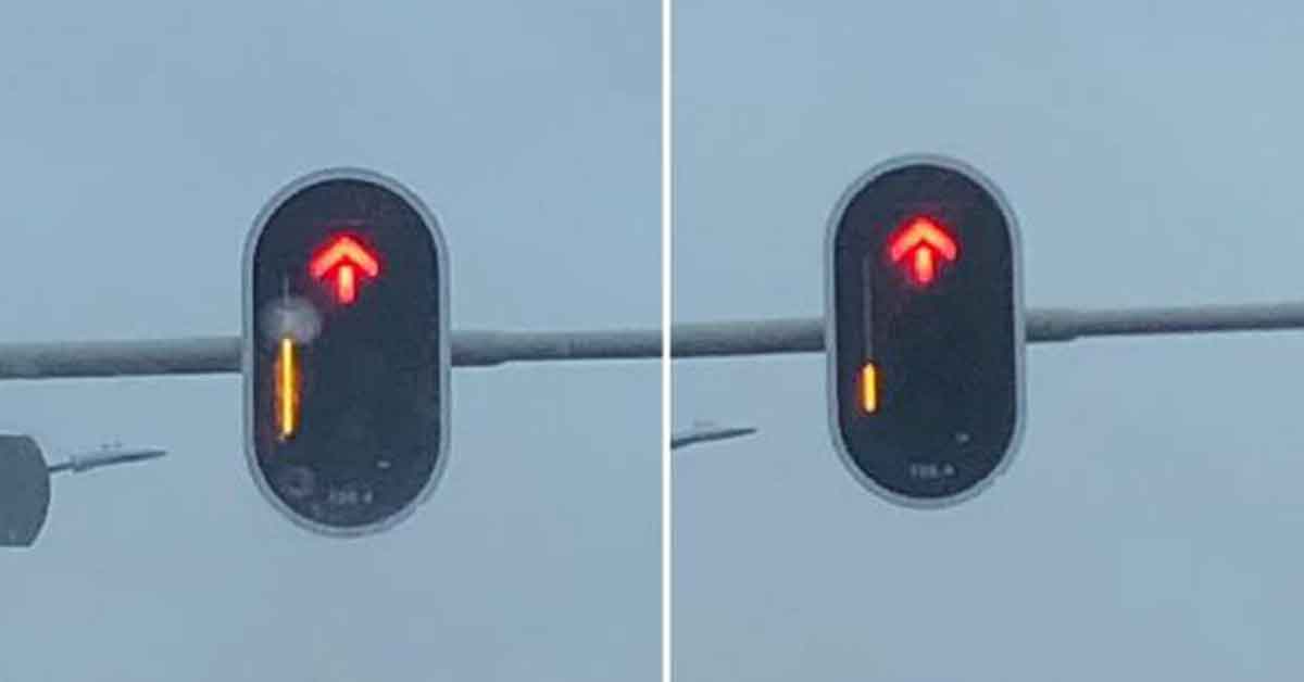 25 Unique Photos of Things You Don't See Every Day