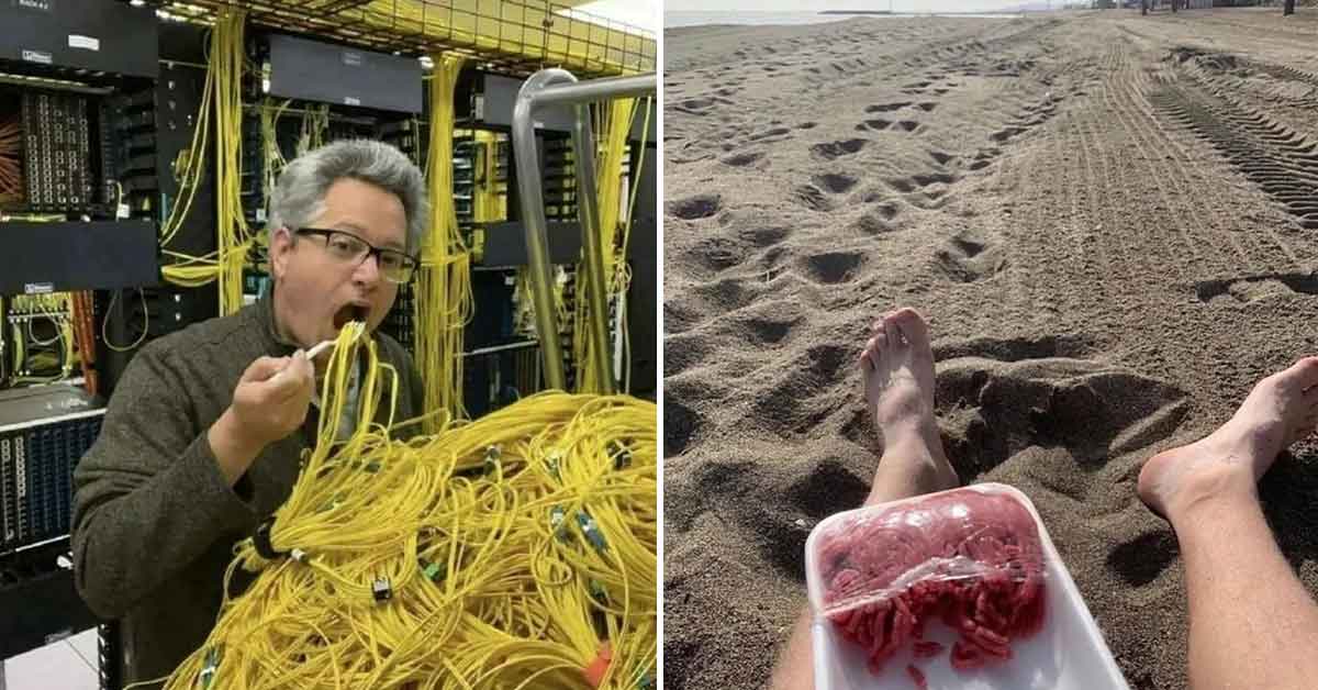 28 Photos We Hope We Never Need an Explanation For