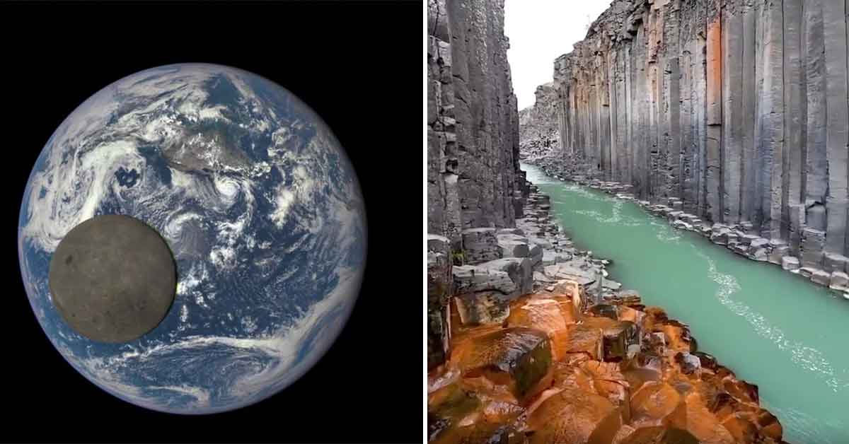 21 Equally Strange and Interesting Photos