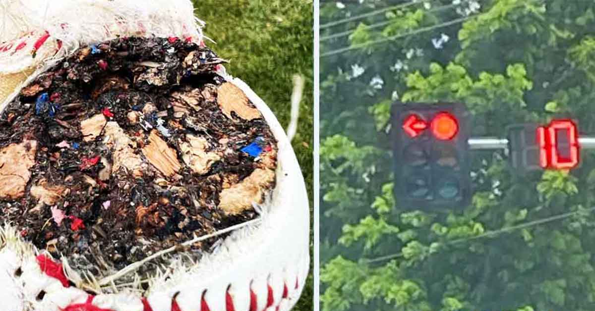 23 Fun and Informative Photos from Outside Your House