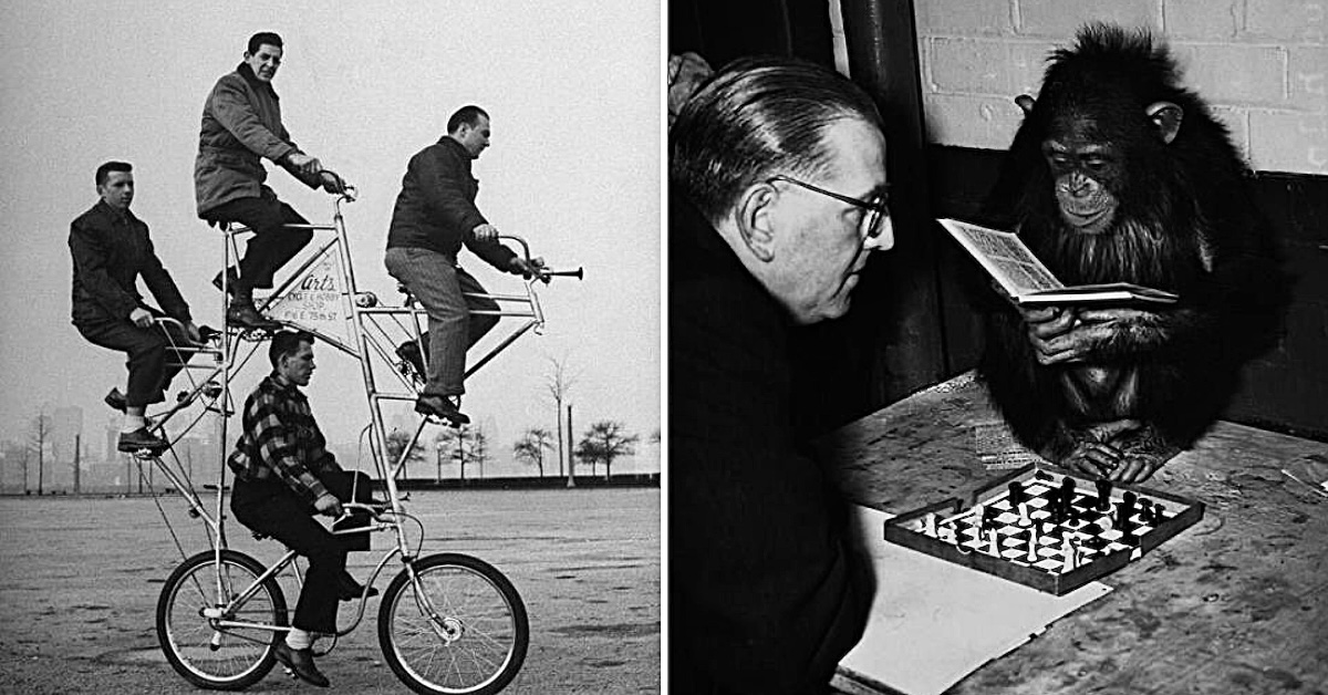 20 Black-and-White Photos Of Vintage Randomness