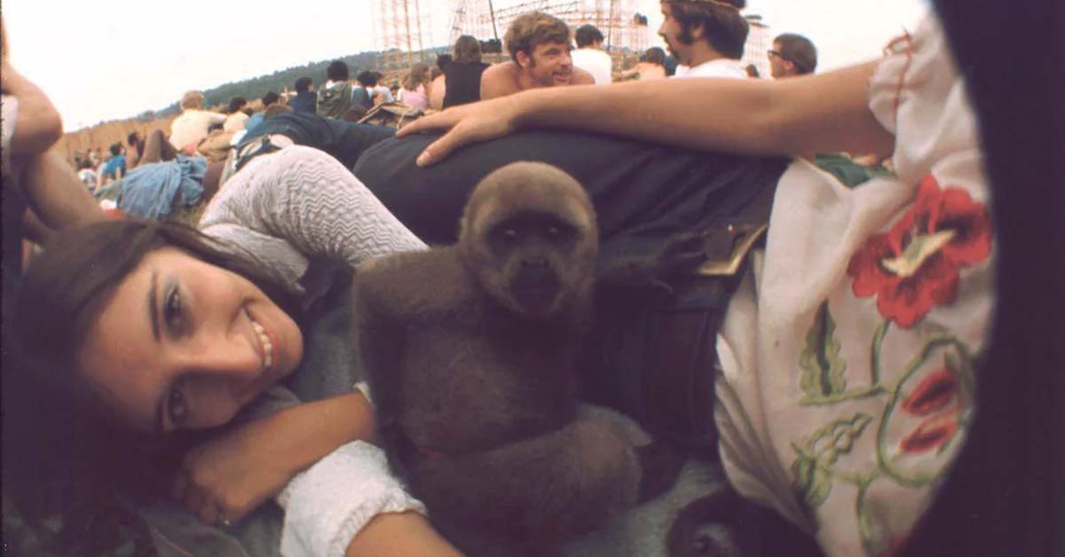 20 Photos Showing the 1960s Had a 'Wild Side’