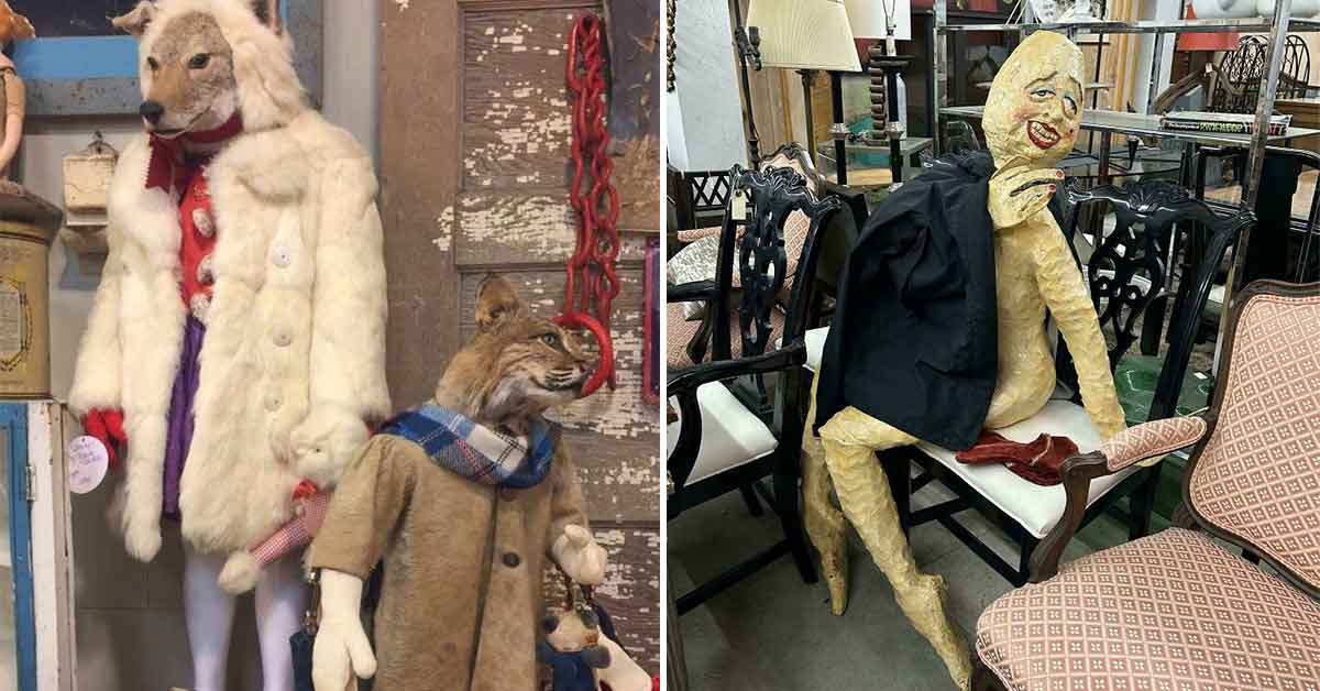 18 Questionable Things People Found While Thrifting | eBaum's World