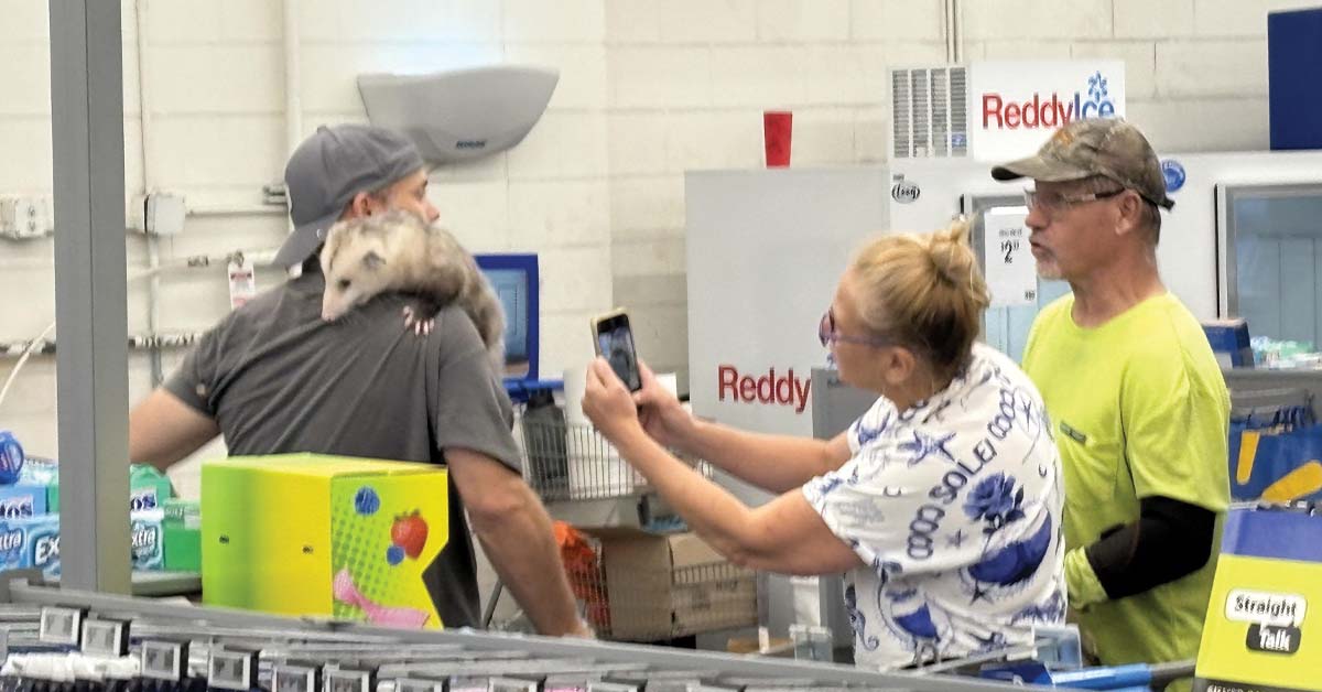 15 Photos Where the People of Walmart Are On Their Worst Behavior