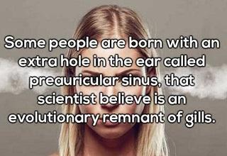 Get your mind blown with these incredible factoids.