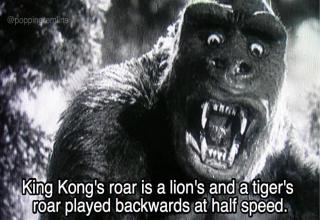 Andy Serkis had over a hundred sensors on his face to create all the facial expressions on Kongs