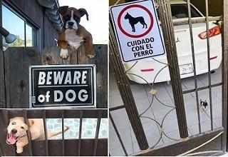 When False Advertizing is taken to a new level, chances are the only danger you're in is of a good face licking.  Here's a look at some of the dogs behind those 'Beware Of Dog' signs.