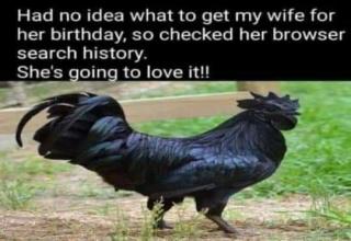 If you've ever been accused of or have ever been cheated on, surely you will relate to some of these memes...some will make you cringe and some will make you laugh!