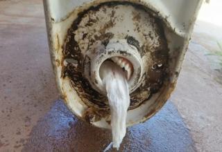 Plumbers see some crazy stuff.