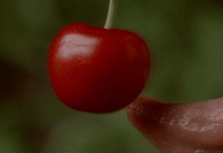 Random collection of GIFs